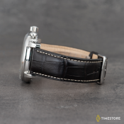 Zeppelin 100 Years Zeppelin