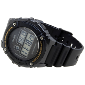 Casio Collection