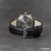 Zeppelin 100 Years Zeppelin