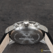 Zeppelin 100 Years Zeppelin