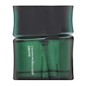 Adolfo Dominguez Bambu toaletní voda pro muže 60 ml