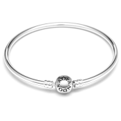 Zapestnica Pandora Moments