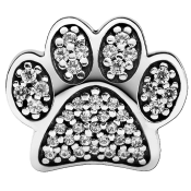 Charm Pandora Moments