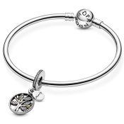 Pandantiv Pandora Moments