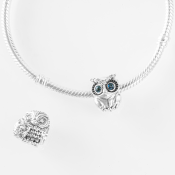 Charm Pandora Moments