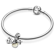 Ciondolo Pandora Moments