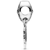 Charm Pandora Moments