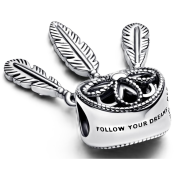 Charm Pandora Moments