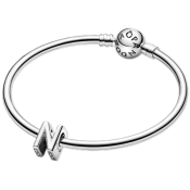 Charm Pandora Moments