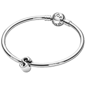 Charm Pandora Moments