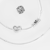 Charm Pandora Moments