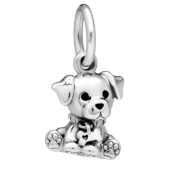 Pandantiv Pandora Moments