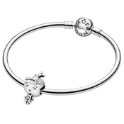 Korálek Pandora Moments