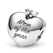 Charm Pandora Moments