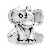 Charm Pandora Moments