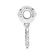 Charm Pandora Moments