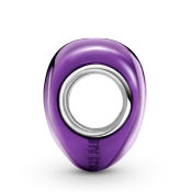 Charm Pandora Moments