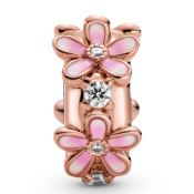 Клипс Pandora Moments