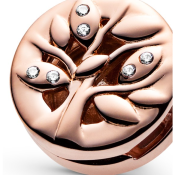 Clip Pandora Reflexions