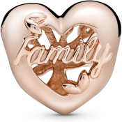 Charm Pandora Moments