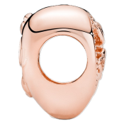 Charm Pandora Moments