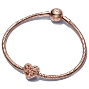 Charm Pandora Moments