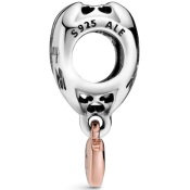 Charm Pandora Moments