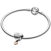 Charm Pandora Moments