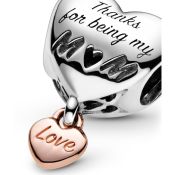 Charm Pandora Moments