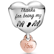 Charm Pandora Moments