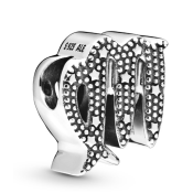 Charm Pandora Moments