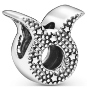 Charm Pandora Moments