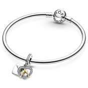 Pandantiv Pandora Moments