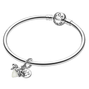 Pandantiv Pandora Moments