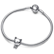 Charm Pandora Moments