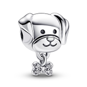 Charm Pandora Moments