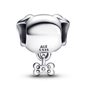 Charm Pandora Moments