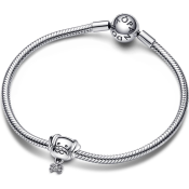 Charm Pandora Moments