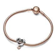 Charm Pandora Moments