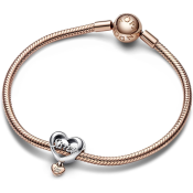 Charm Pandora Moments