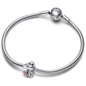 Charm Pandora Disney