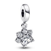 Pandantiv Pandora Moments