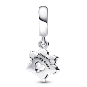 Pandantiv Pandora Moments