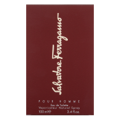 Salvatore Ferragamo Pour Homme woda toaletowa dla mężczyzn 100 ml