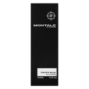 Montale Ginger Musk parfémovaná voda unisex 100 ml