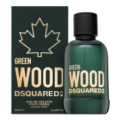 Dsquared2 Green Wood toaletná voda pre mužov 100 ml