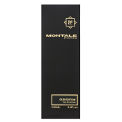 Montale Oud Edition parfémovaná voda unisex 100 ml