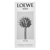Loewe Solo Atlas parfémovaná voda za muškarce 50 ml