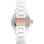 Fossil FB