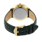 Fossil Prismatic Galaxy